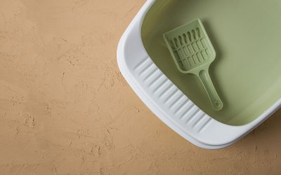 Sanitation Part 2: Keeping Pet Bedding, Rest Areas, Litter Boxes, and Potty Zones Clean