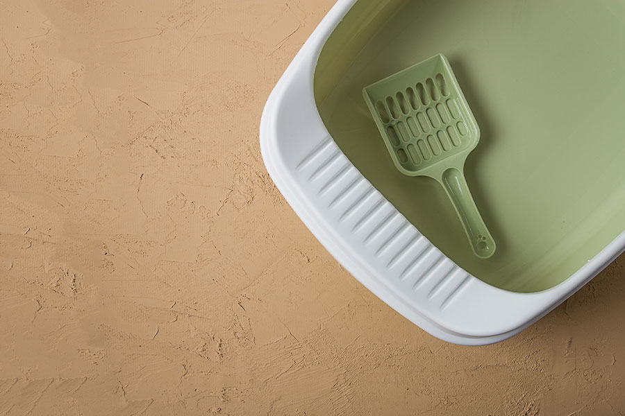 Sanitation Part 2: Keeping Pet Bedding, Rest Areas, Litter Boxes, and Potty Zones Clean