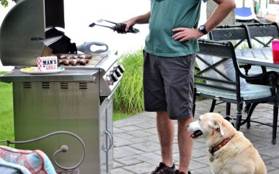 Warm Weather Holiday Pet Safety: BBQ, Picnic, and Firework Tips for Concord Pet Parents