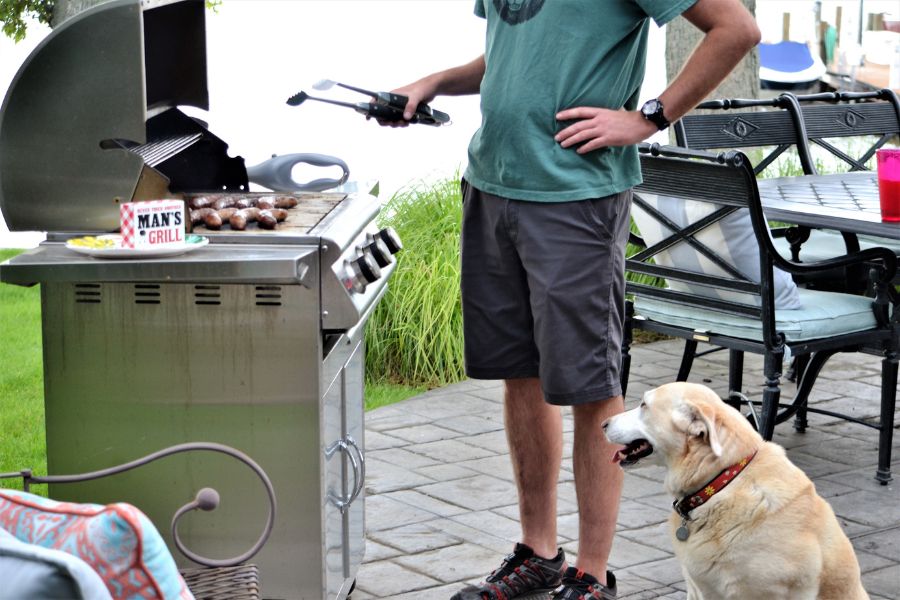 Warm Weather Holiday Pet Safety: BBQ, Picnic, and Firework Tips for Concord Pet Parents